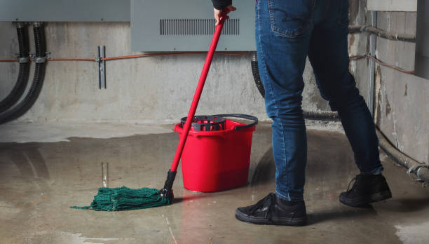 Best Sewage cleanup and water damage restoration  in Hamlin, TX