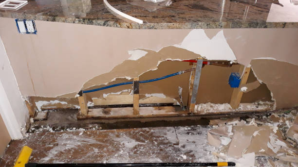 Best Flood damage cleanup  in Hamlin, TX