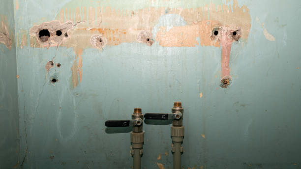 Best Basement water damage restoration  in Hamlin, TX